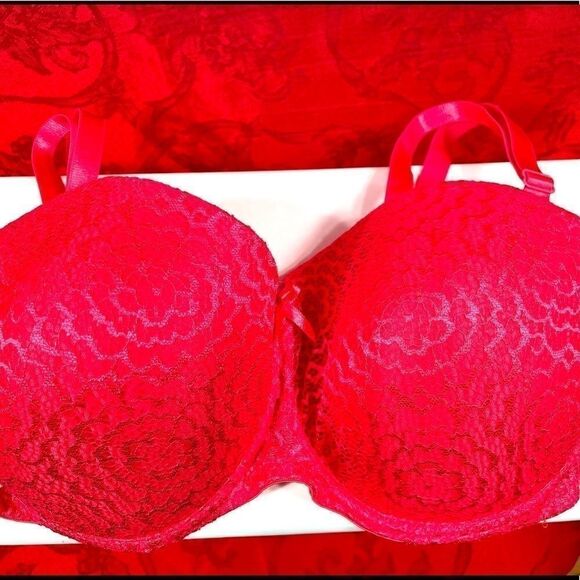Bluxe Other - HOT PINK LACE BLUXE 40D